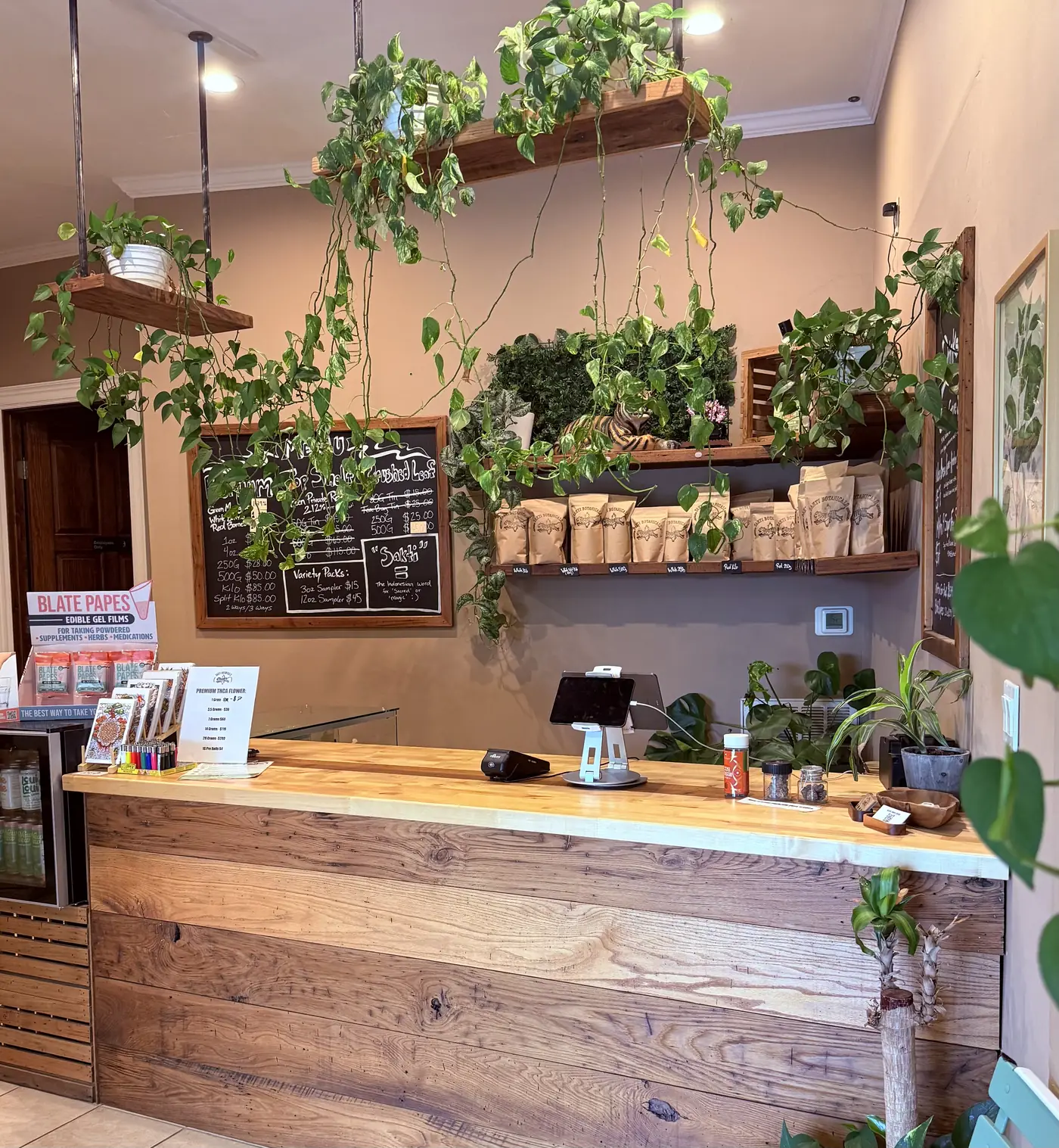 Shop counter at Sakti Botanicals in Asheville